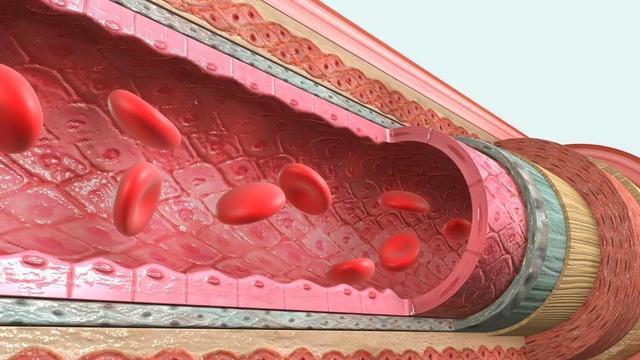 吸烟|人体一天可以承受多少支香烟？关于这个“数”，希望你不要越界