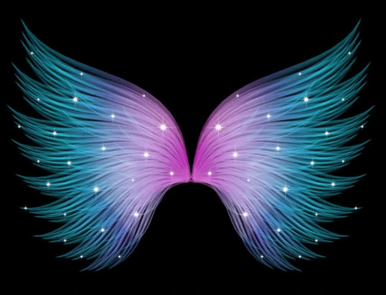 塔罗占卜:你觉得哪双翅膀最梦幻,测你会不会喜欢上渣男!_腾讯新闻