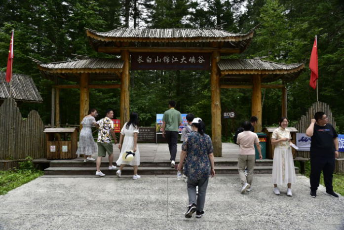 单花鸢尾（单花鸢尾根和鸢尾根区别） 第9张