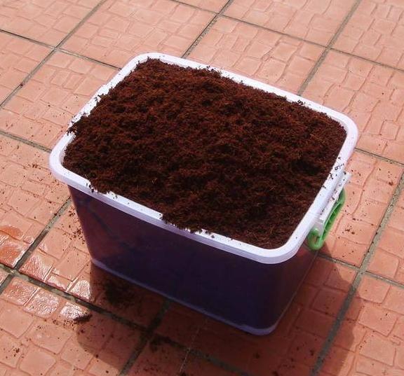 营养土能用啥来代替 挖些松针土 盆栽养花前做好2步就够了 腾讯网