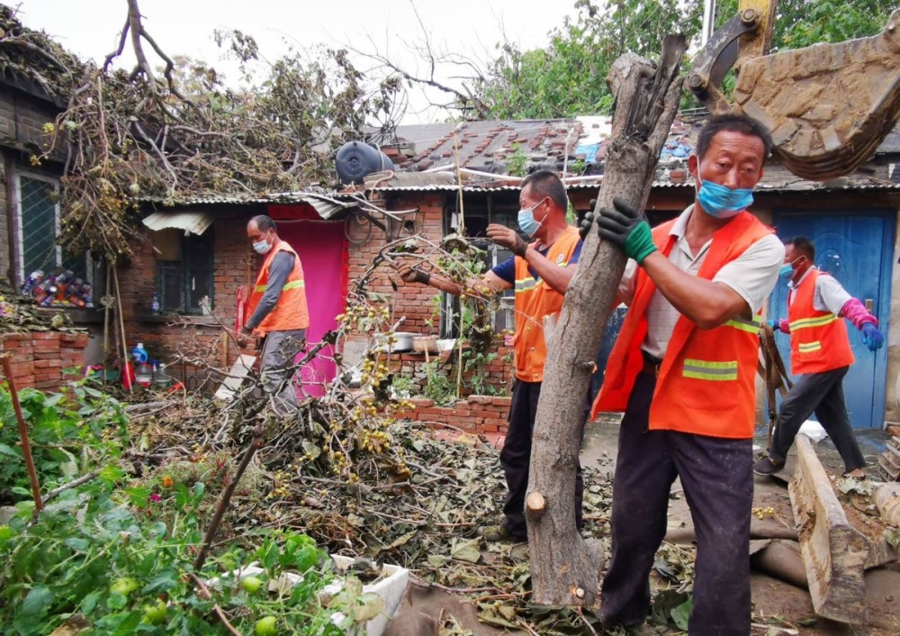 丰台区南苑街道|连日风雨，丰台这地儿多处大树倒伏！多亏街道反应迅速