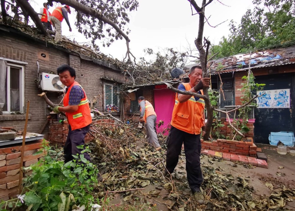 丰台区南苑街道|连日风雨，丰台这地儿多处大树倒伏！多亏街道反应迅速