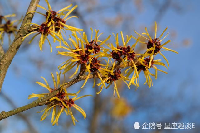 7月12日星座运势 双子干劲十足 天蝎稳扎稳打 双鱼顺其自然 腾讯网