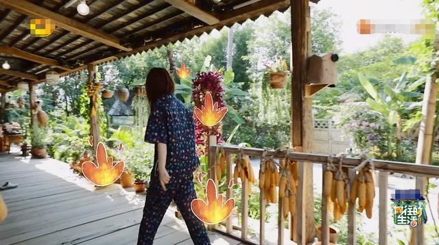 吴昕|为何吴昕总传出被打压？《向往4》这一行为暴露原因，蓝盈莹真冤