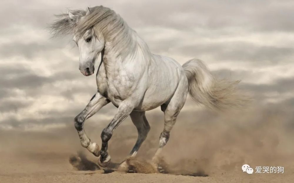 李贺|李长吉最经典的一首马诗，第一句就是令人惊艳，最后两句气势磅礴