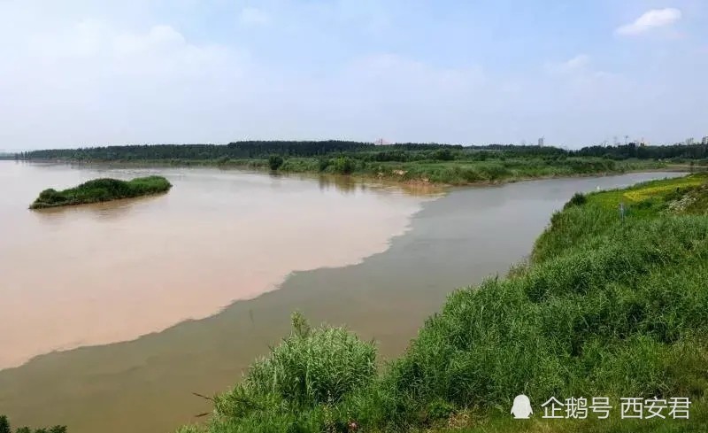 西安高陵的"泾渭分明"_腾讯新闻