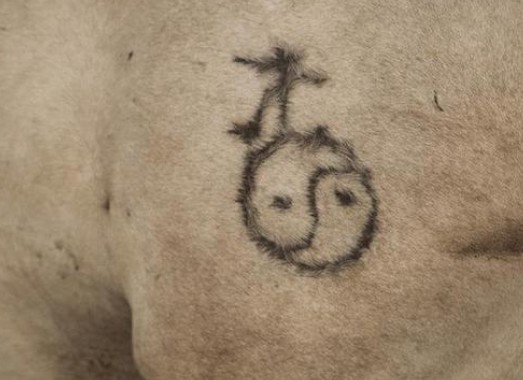 日本美女发现中国马都被烙印牧民的解释让人惊讶直呼好残忍