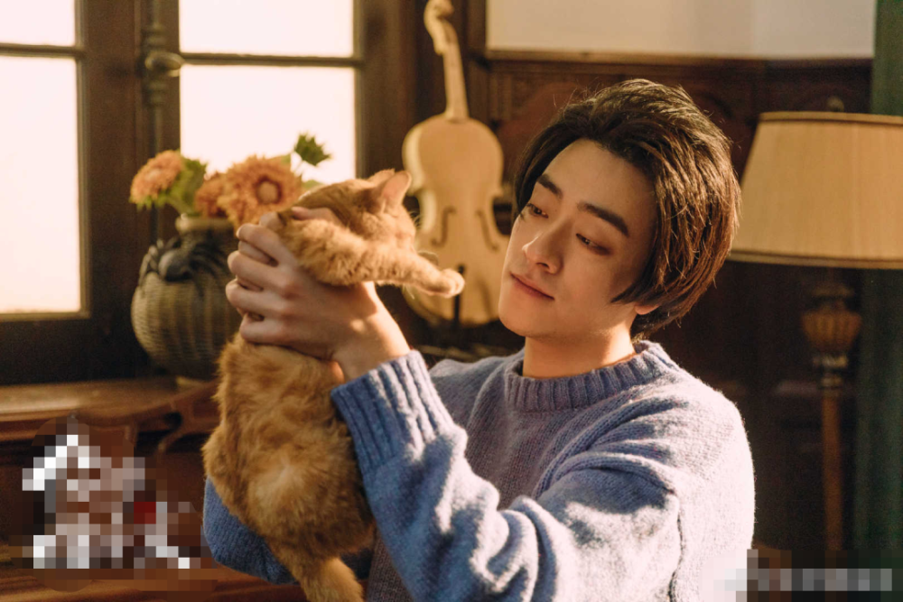 郑云龙|这是要“仝归于尽”的意思吗？