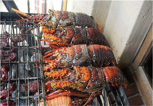 去非洲买了4只超级大龙虾,给了500元,离开的时候却被老板叫住_腾讯