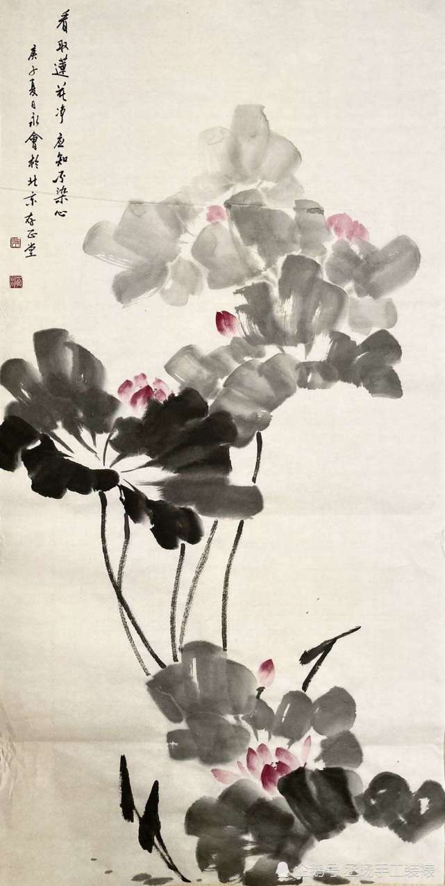 水墨荷韵,大师笔下不一样的荷花,实力派画家——张永会作品赏析