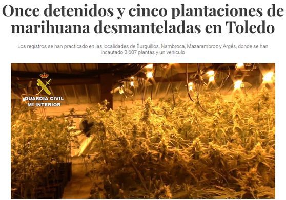 西班牙_社会|西班牙警方捣毁5个大麻种植园，1名涉案华人正在接受调查