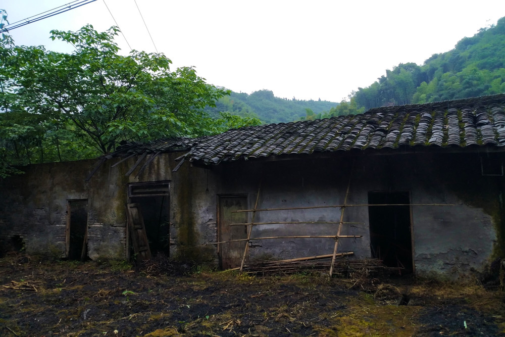 成都周邊的孤單村莊靜謐的大山裡僅剩十來戶人家老人獨居深山