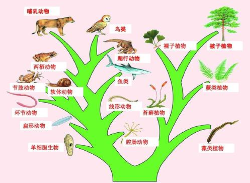 地球|太阳如果消失了，地球生命会怎么样？人类还能生存吗？