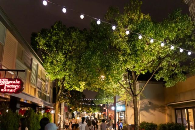 本就有很多五花八门的店铺,夜幕降临,在绚丽的霓虹灯的闪烁下,夜市