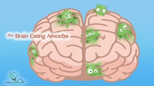 食脑虫|“食脑虫”再现美国，致死率高达97％，但这还不是最可怕的