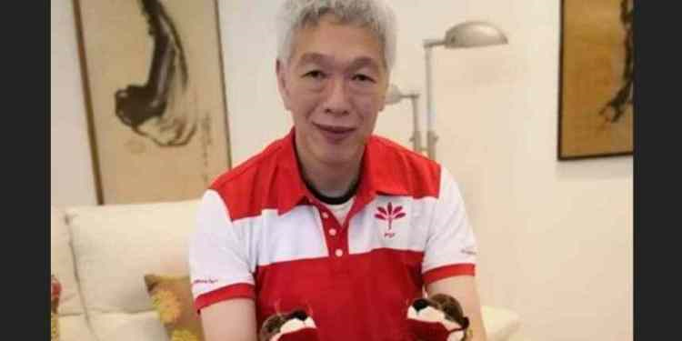 新加坡_时政|新加坡大选落幕：“李家”稳住基本盘，可“龙的传人”有点悬