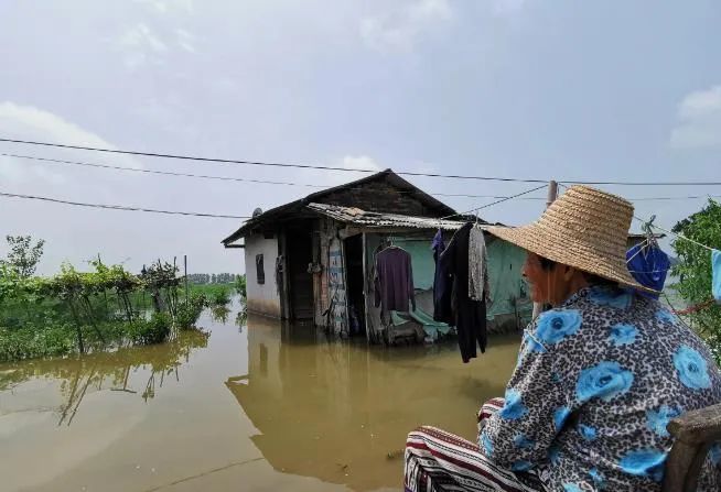 让人泪目,监利老人房屋浸水,农田基本被淹
