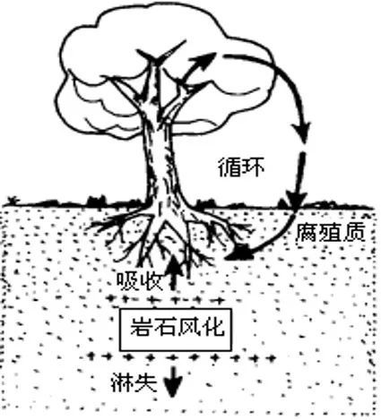 关于土壤这些你都要知道