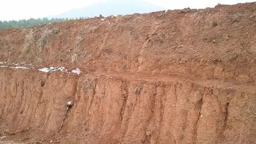 棕壤褐土:分布于暖温带半湿润,半干旱季风气候区.