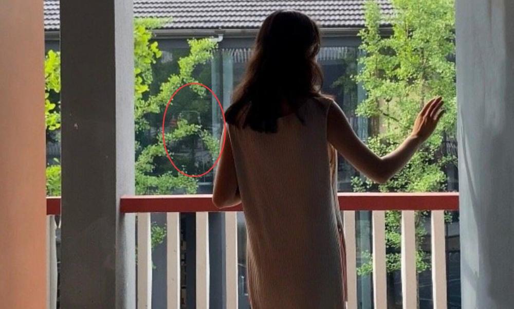 董花花|总裁夫人晒照秀巨钻婚戒尽显正宫地位，蒋凡疑亲自执镜身影曝光