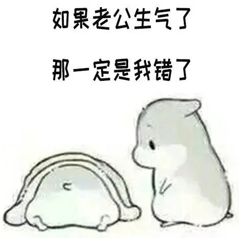 仓鼠表情包老公永远是对哒
