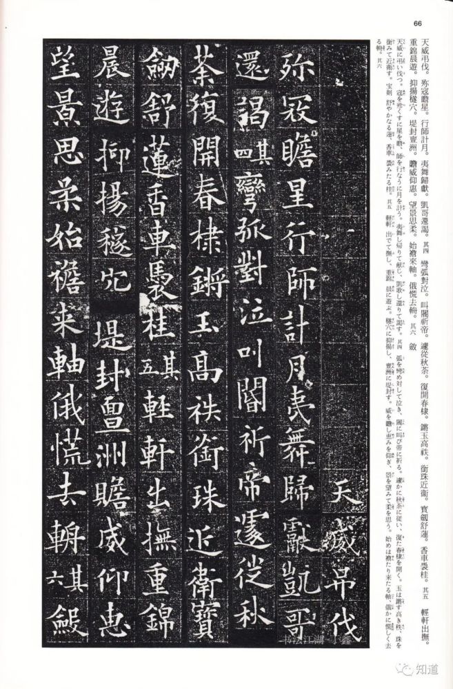 欧阳通泉男生墓志|易志勇 临《欧阳通泉男生墓志》其四完结篇
