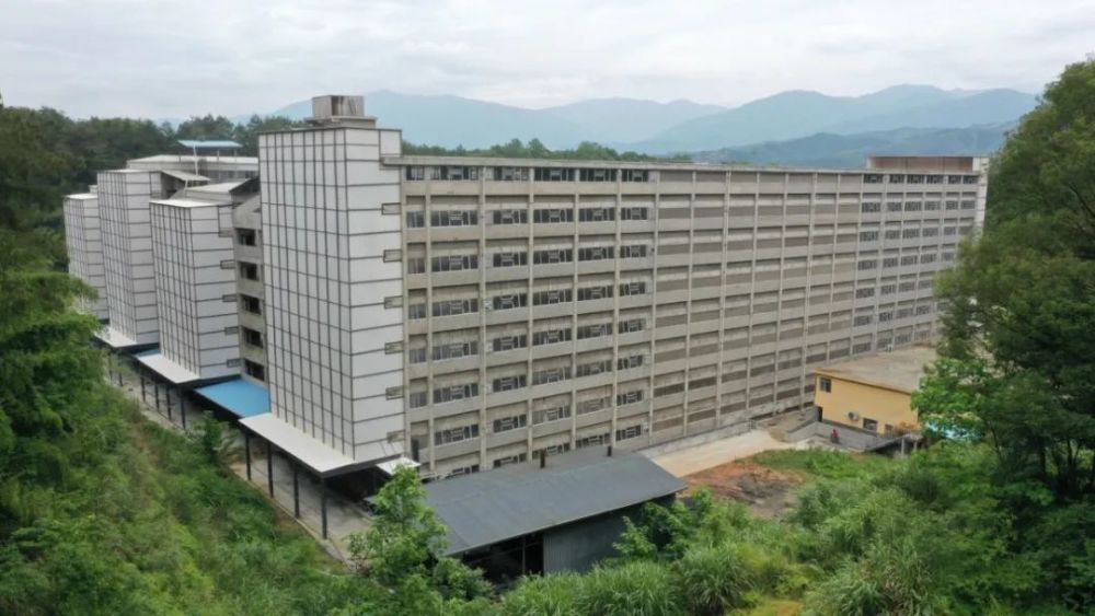 猪场|高楼猪场成集团猪企新宠，一文带您详细揭秘建造细节内容！