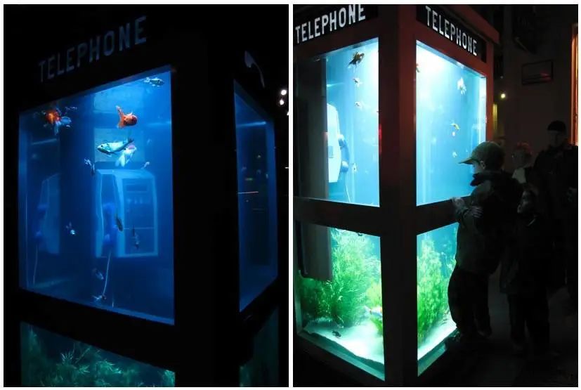 电话亭|除了不能打电话，现在的电话亭什么都能做