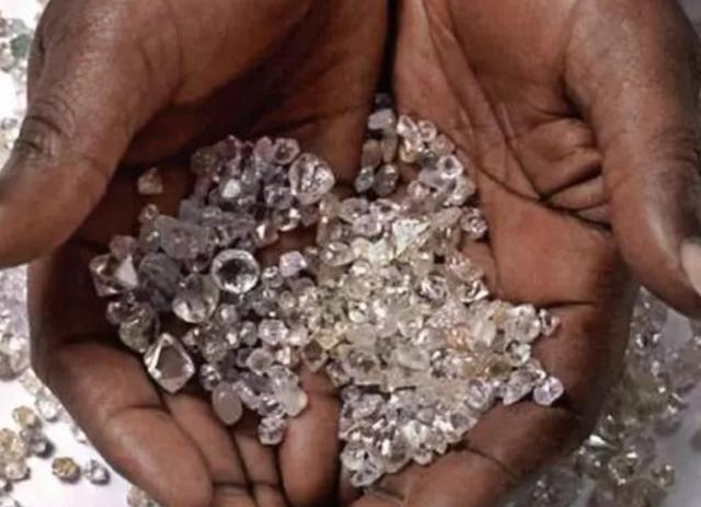 钻石|全球最“贪财”的植物，生长于钻石层地面上，却引来“杀身之祸”