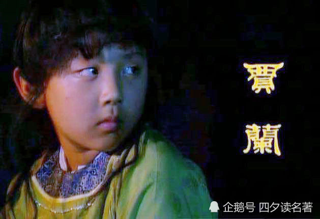 贾兰|《红楼梦》中，和王仁一起合谋卖掉巧姐的人，到底是贾蓉还是贾兰？