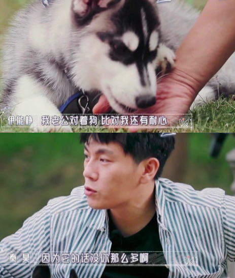 王丽坤|王丽坤在《浪姐》的转变，反映出伊能静的不足，秦昊也吐槽过