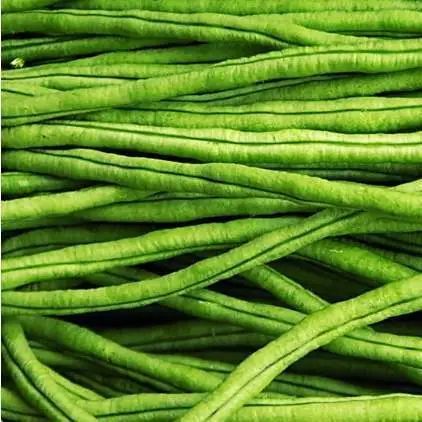 荷兰豆豇豆四季豆豆豆分不清楚一篇教你分清豆角家族