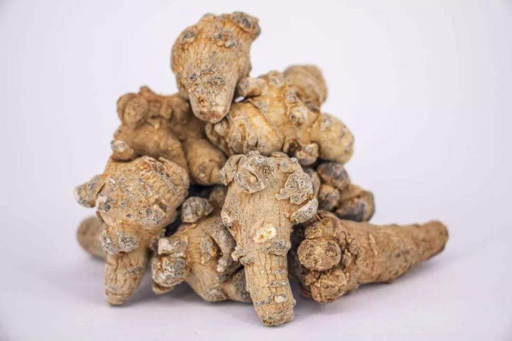 三七如何成为金不换带你走进它的一生