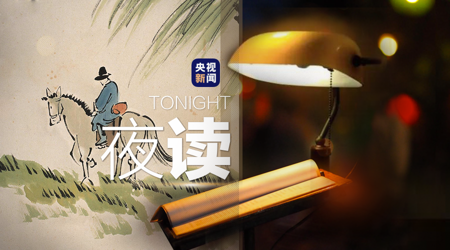 孤独|不经一事，不长一智，这就是人生