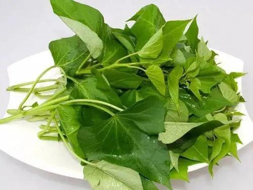 这10种餐桌上的降糖菜,每天吃一点,降血糖保健康!