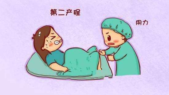 其中,第一产程和第三产程是不需要妈妈用力的,如果这时用力,还会导致
