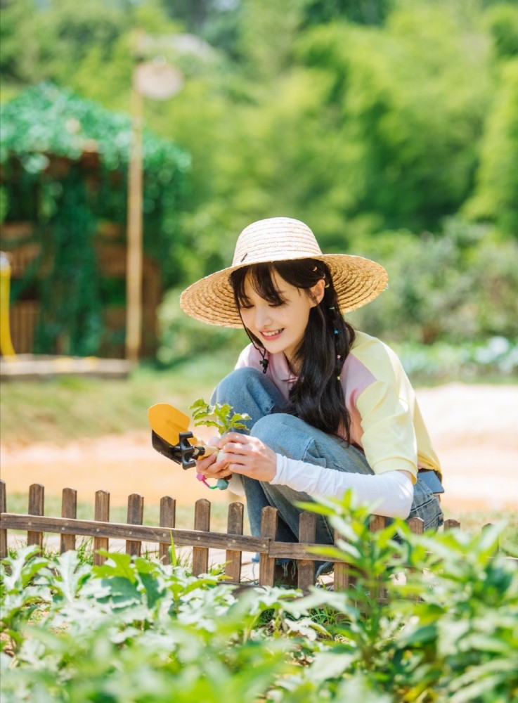 郑爽|被尬黑太惨！郑爽归还奇妙小森林道具，喊话节目组好有态度