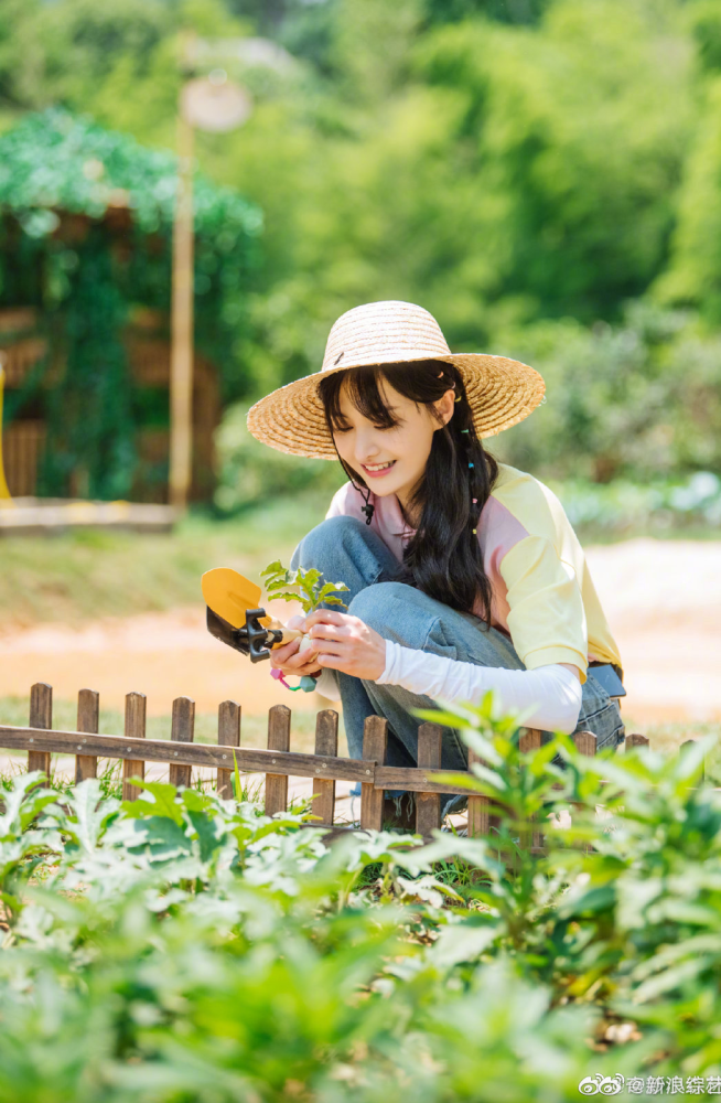 郑爽|郑爽归还道具：你的东西已归还，我的快递请到付