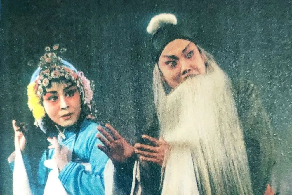 王保易缅怀杨公说走雪