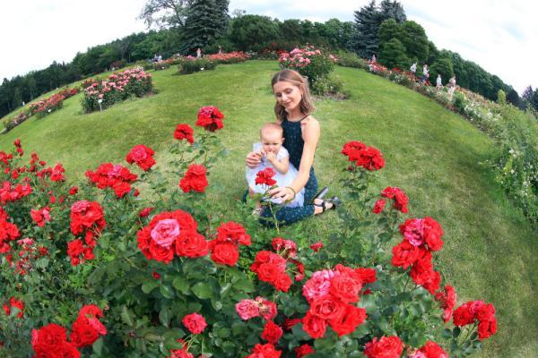 白俄罗斯 公园赏花正当时 腾讯新闻