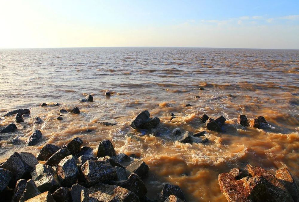 故黄河之恋 作者:赵玉强_腾讯新闻