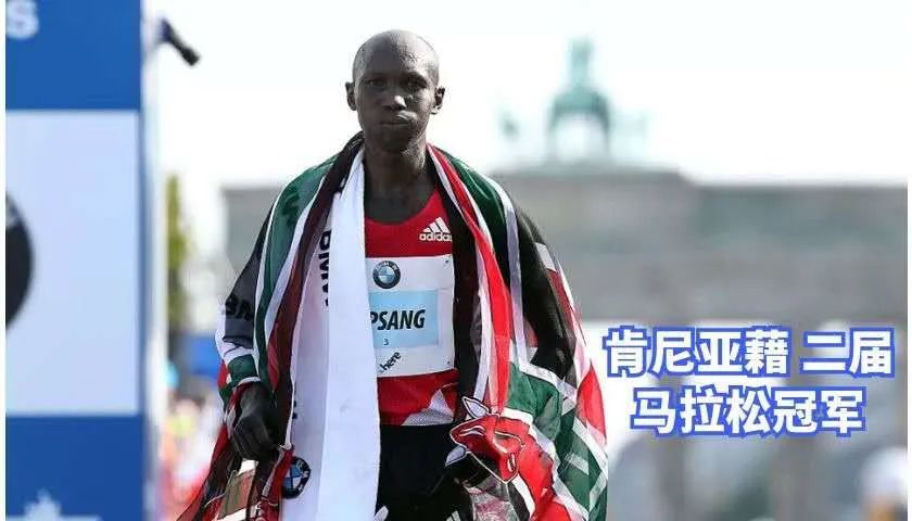 青釉|80后收藏家 独爱元朝青釉茶叶罐