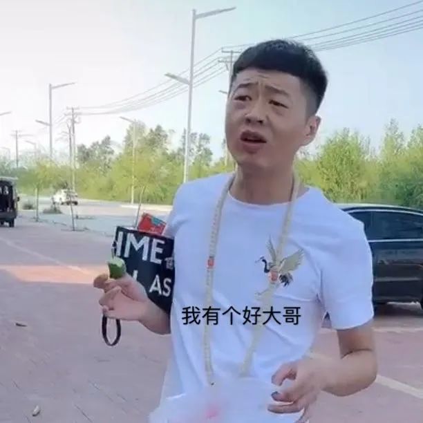 自截抖音李会长街溜子表情包
