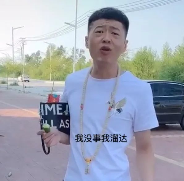 自截抖音李会长街溜子表情包