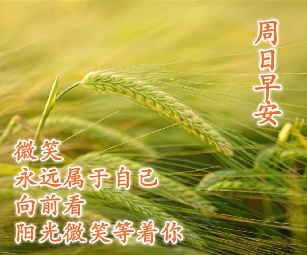 暖心又治愈的高质量短句余生致自己的金句