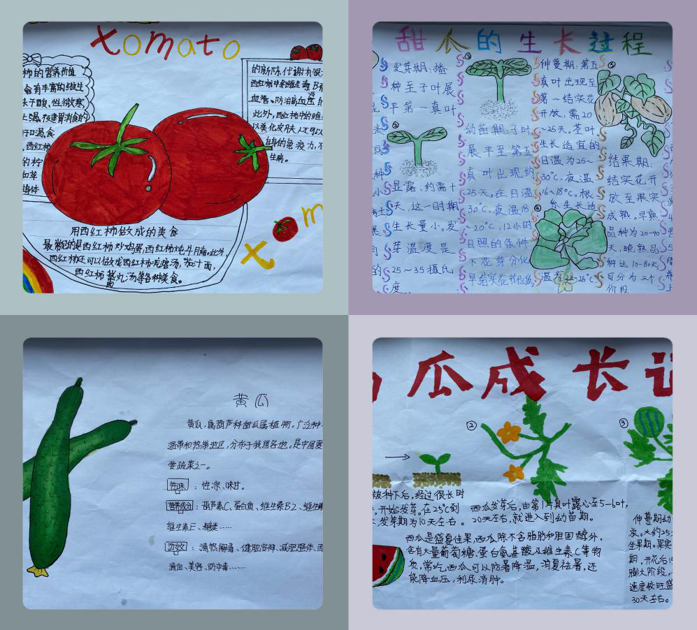 省教育厅拍拍你火热的7月这所小学迎来首次丰收节