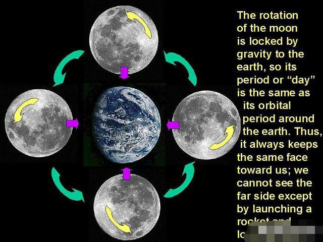 月球|在月球上待一天等于在地球上待几天？