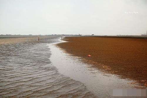 江苏和浙江都是沿海省 为什么没有有名的海滩 看完总算明白了 腾讯新闻