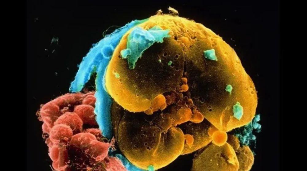 气候变化|应对气候变化需要所有人的行动：气温超过60°C的地球太可怕