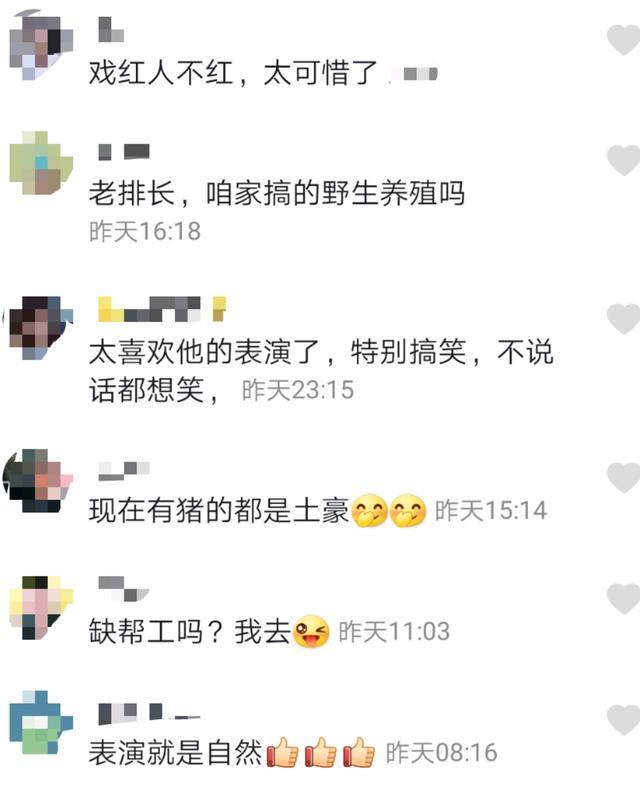 大秦哥|著名男演员如今沦落到养猪？戏红人不红太可悲，直接进猪圈掰玉米